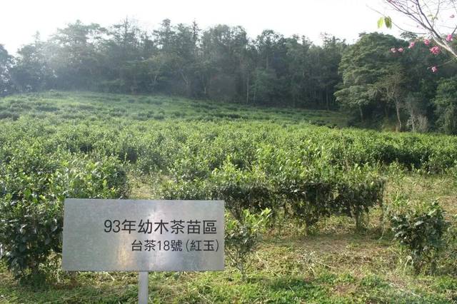 http://p2.itc.cn/a_auto,c_cut,x_0,y_0,w_1080,h_720,c_zoom,w_640,q_70/images01/20201214/2e135753cf0e4c929dbc5a0ccc0cdb67.jpeg
