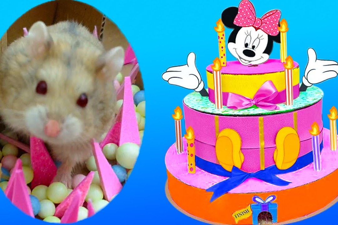 可爱的仓鼠过生日,主人送给它米老鼠生日蛋糕迷宫,生日快乐!
