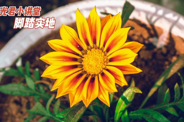 什么踏什么地成语_成语故事图片