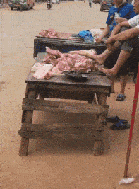 搞笑GIF:這應該是紅燒豬蹄的最高境界,應該是用地溝油炒的吧