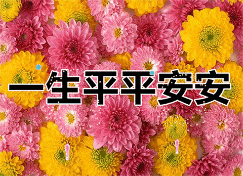 刘付罗金 