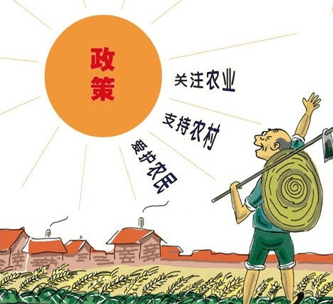 今年回农村创业的人口_我今年12岁小鸡正常吗