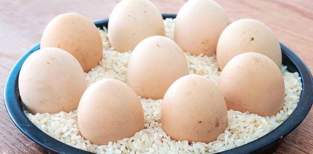 养殖种植大户表露，储存生鸡蛋有窍门，肯定并不是放电冰箱，放大半年都不容易坏
