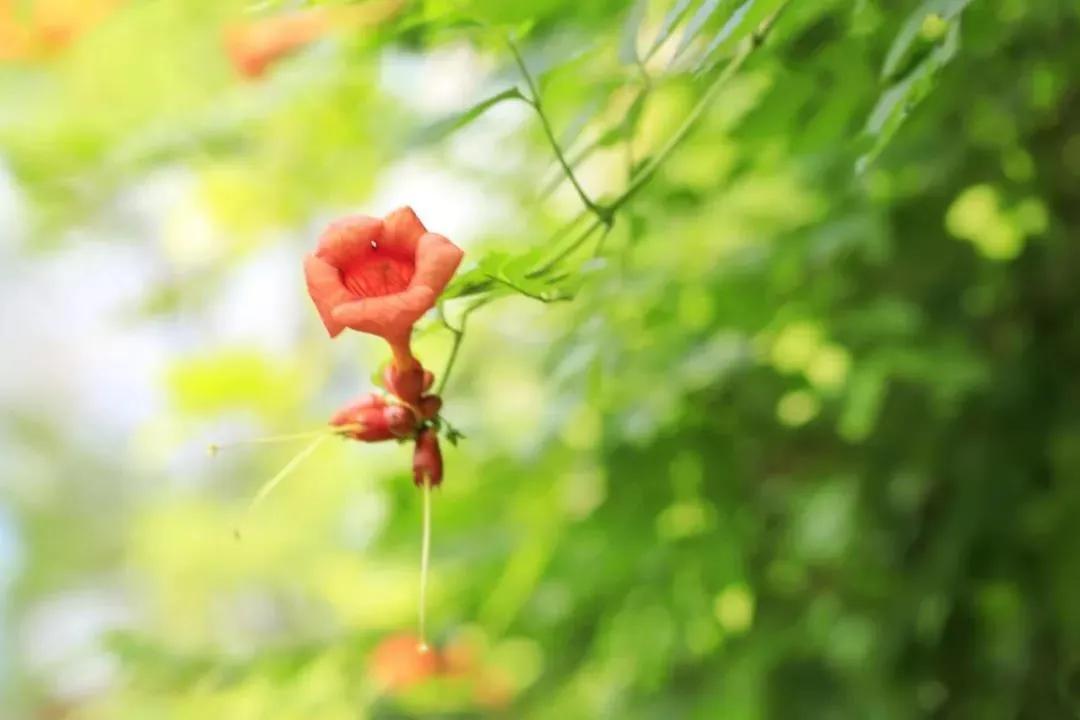 明天起:将会苦尽甘来,好运一波又一波,6月头顶聚宝盆,睁眼发大财 生肖