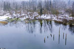 四川都江堰：龙池国家森林公园云雾缭绕 白雪皑皑