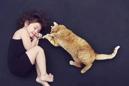 『宝宝』新添宝宝就要把猫咪送走？并不用！教你宝宝与猫咪相处的正确方法