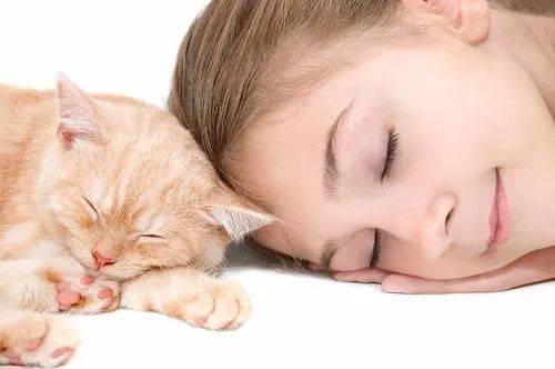 『宝宝』新添宝宝就要把猫咪送走？并不用！教你宝宝与猫咪相处的正确方法