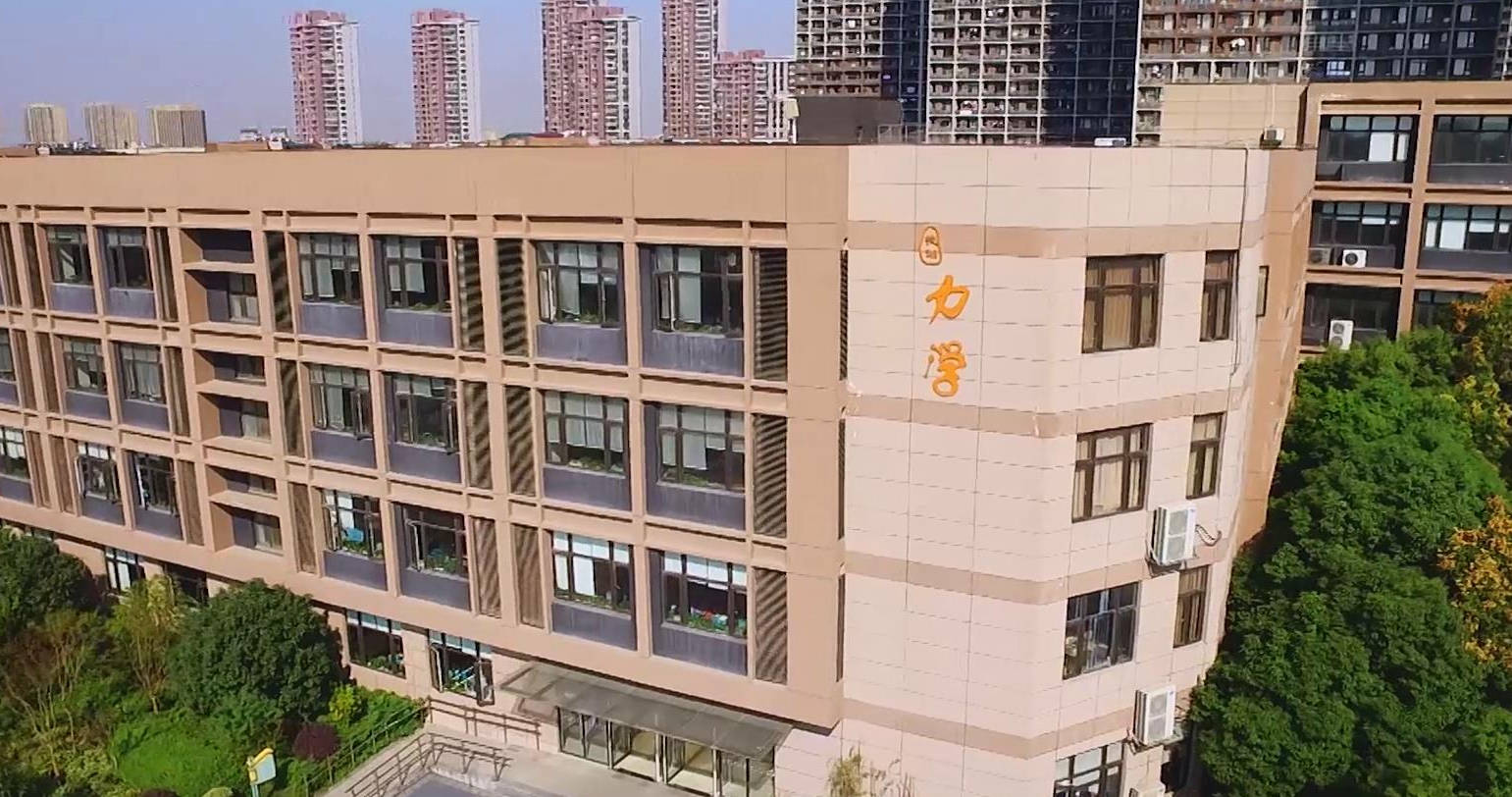 2020幼升小指南丨对话校长:南京市力学小学金地自在城分校副校长 陈旻