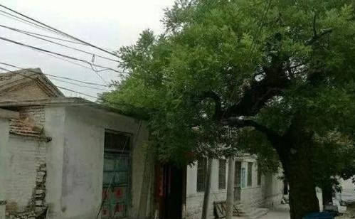 威刑不什么成语_成语故事图片
