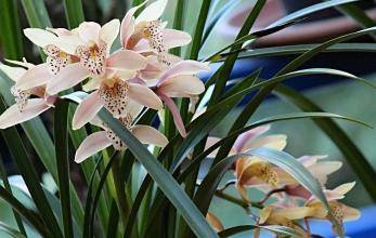 ad58408e288b40f9b8fbf2a7509f6a2f.jpeg