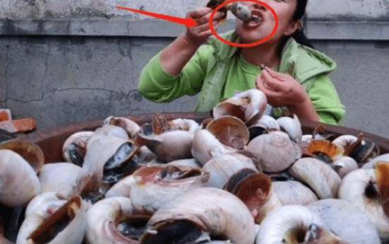 原创吃播大姐挑战吃大海螺看清怎么吃后网友疑问内脏怎么也吃