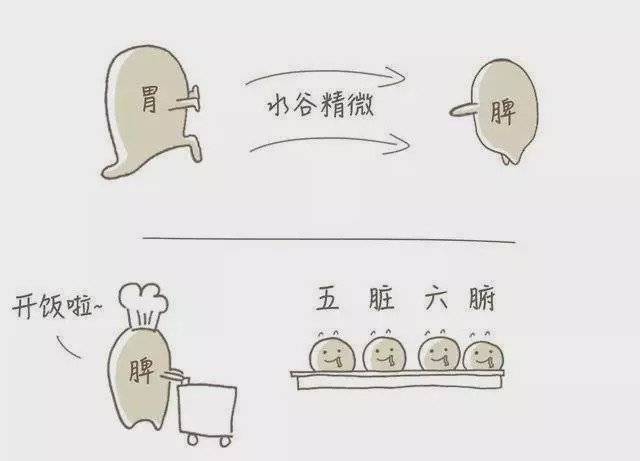 「舌苔」捏积派——孩子脾胃好不好?除了看舌苔眼袋颜色也能帮你判断