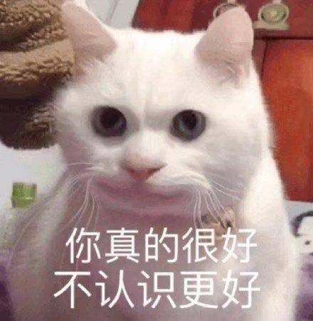 猫咪表情包合集|我就是馋你的身子