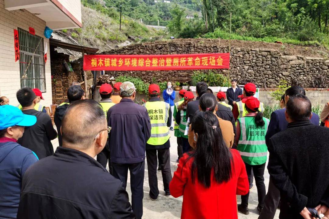 旬阳桐木镇:"三步走"开启乡村"美颜"模式