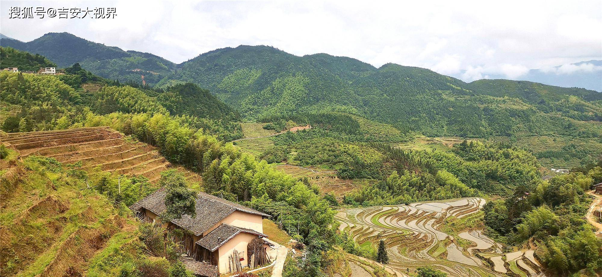 位于江西省吉安市遂川县左安镇的桃源梯田风景如画,吸引了许多游客前