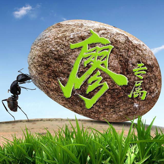 巢姓人口_人口普查(3)