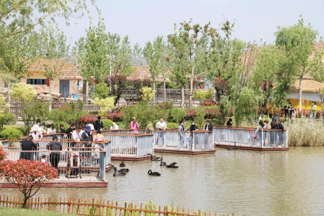 木一博览园: 5.19当天,全国人民可享受木一博览
