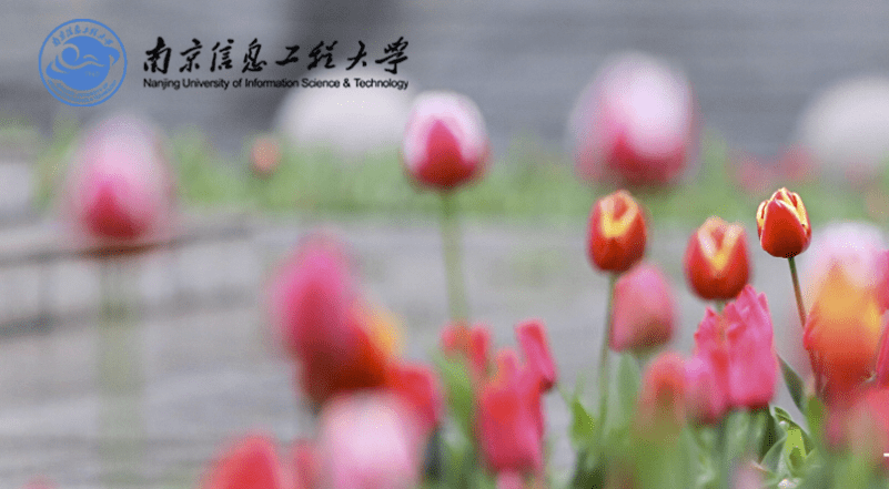 「实力」专业位于亚洲第一，却连211都不是！中国最具实力的大学