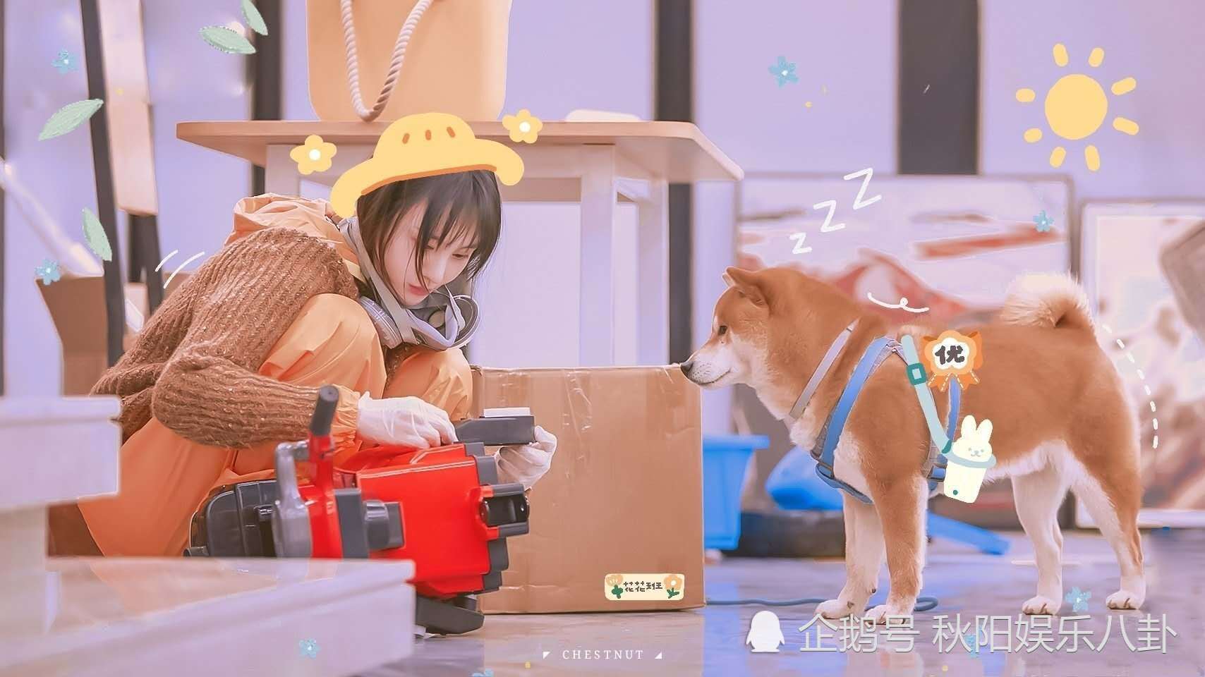 郑爽一语道破真相，原来她能红有黑子一半的功