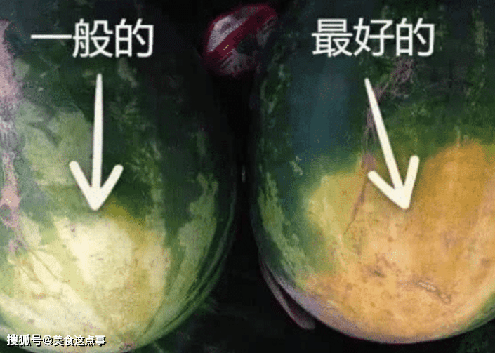 西瓜多少天可以快速膨大 5ed23f05a2a8481380ed1e17fd468333.png