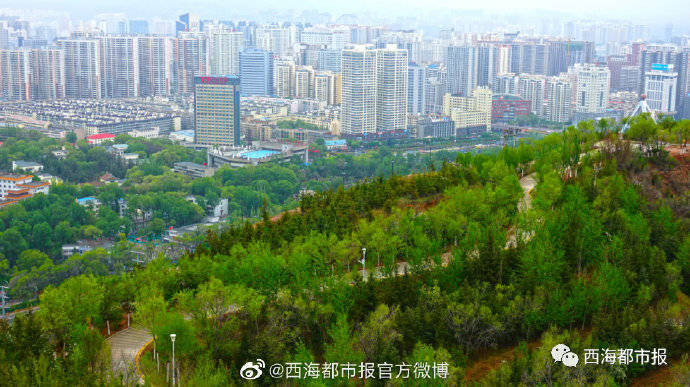 金稻园人均_金稻园砂锅粥图片