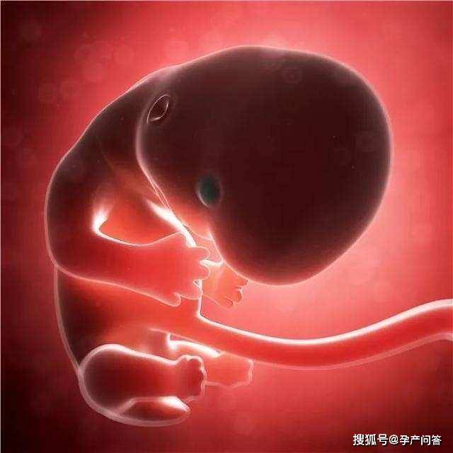 孕期怎么看懂胎儿大小，双顶径，股骨长，头围和腹围？(附对照表)