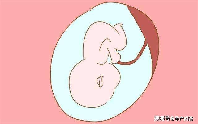 孕期怎么看懂胎儿大小，双顶径，股骨长，头围和腹围？(附对照表)