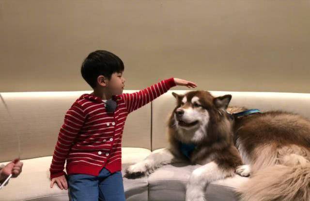 a57194abeb614306a86962f7a5579ece.jpeg