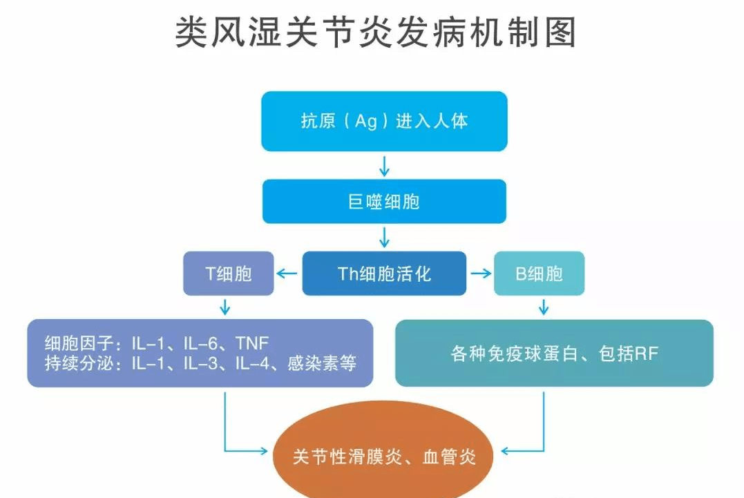 类风湿性关节炎有哪些症状,有哪些指标可以诊断?