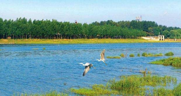 2019龙口gdp_龙口粉丝(2)