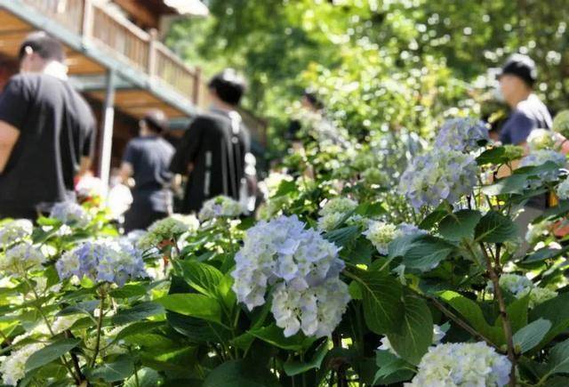 种田短剧合集，回归田园，品味生活的宁静与真实