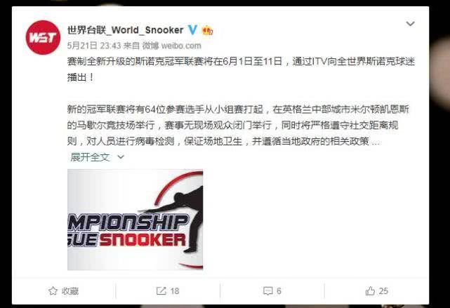 丁俊晖2020年世锦赛_2020斯诺克世锦赛第一轮,丁俊晖VS马克金第9局,小晖(2)