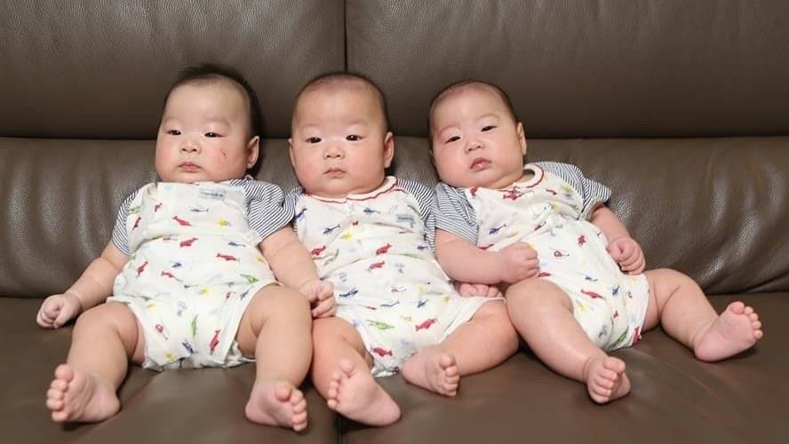 【多胞胎】多胞胎是什么意思_多胞胎是怎样形成的
