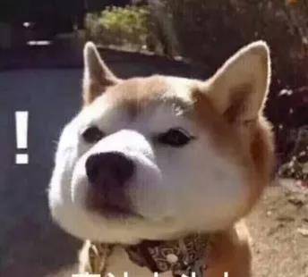 ee6ed1ab2b614dc3b96cdee7102ed436.jpeg