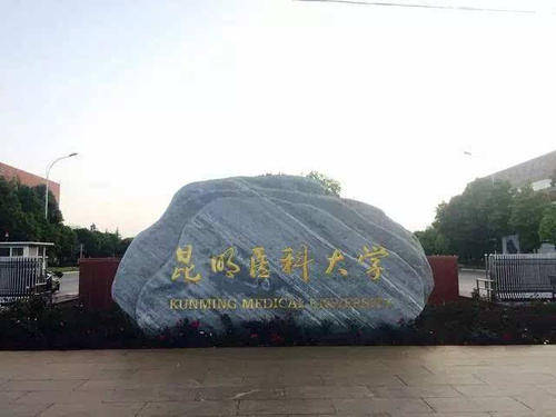 全国医科研究生排名_中国医科大学关于公示2020年博士研究生拟录取名单