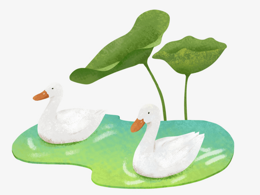 5d7e34824a244068a233a13a7397683e.png