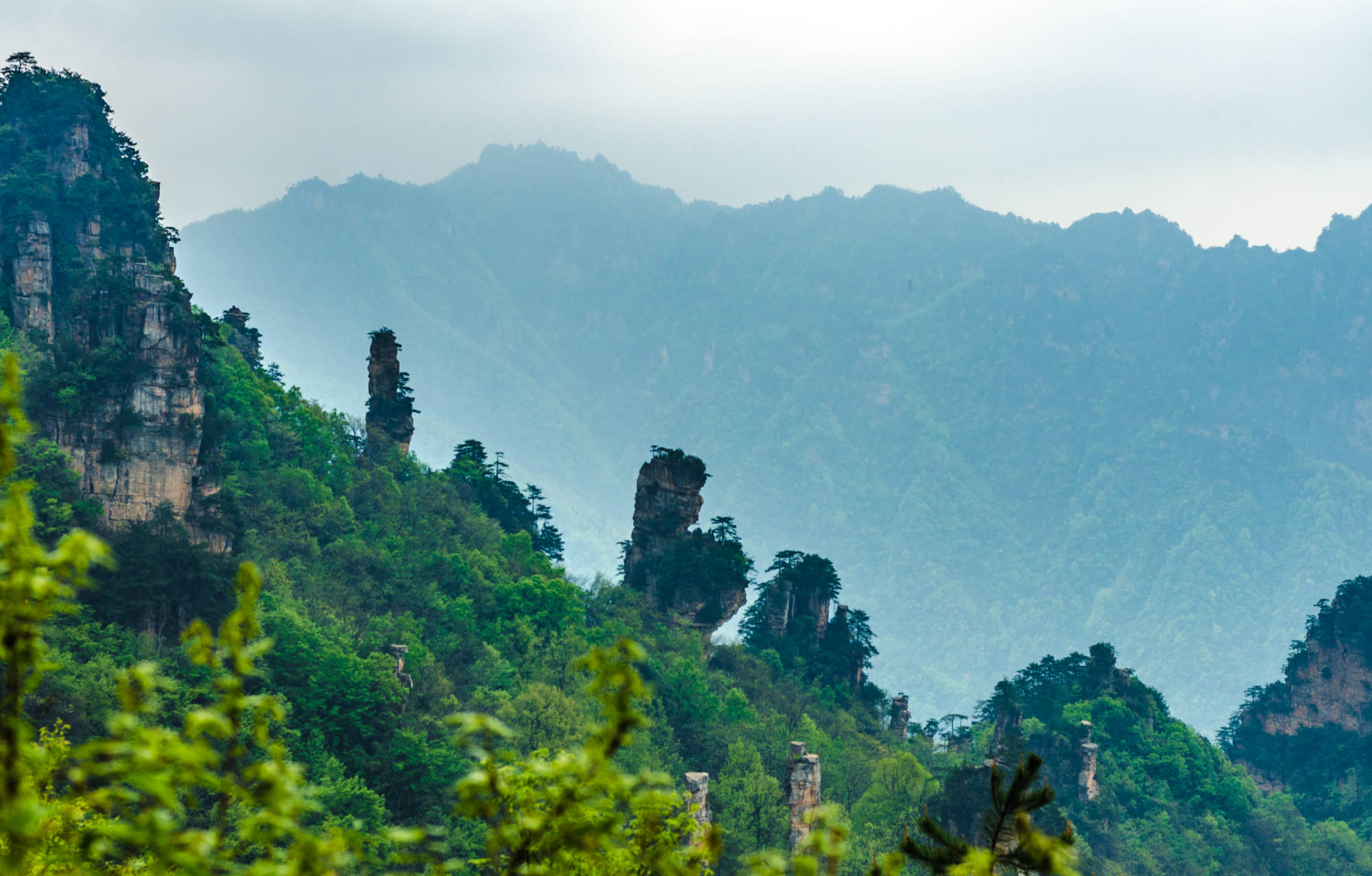 湖南最著名的旅游景区,中国首个国家森林公园,美若仙境值得一去