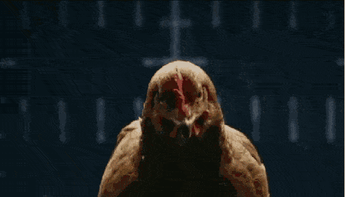 壁纸 剧照 视频截图 500_286 gif 动态图 动图