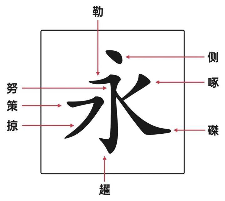 永字八法将永字拆分为了八个笔画,分别为,侧,勒,弩,趯,策,掠,啄,磔.