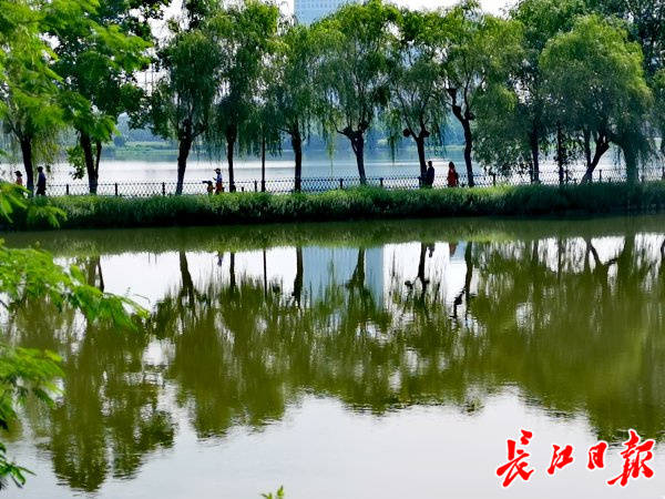 武汉金银湖国家城市湿地公园,市民戴口罩扫码游玩