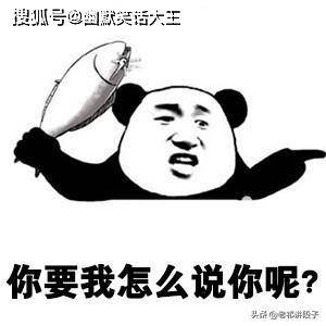 搞笑gif:全国都在下雪,广东猫也不淡定了