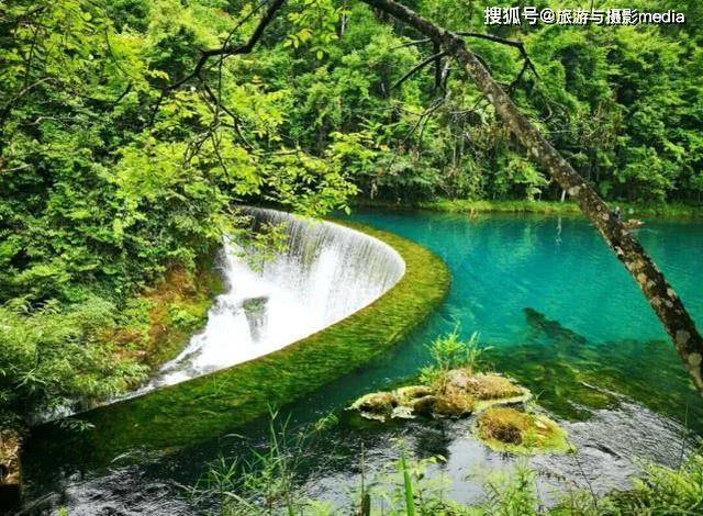 大自然最偏心的景点,仅凭森林上榜中国最美,网友:以为