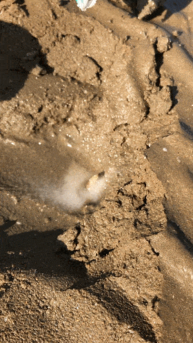 280_497 竖版 竖屏