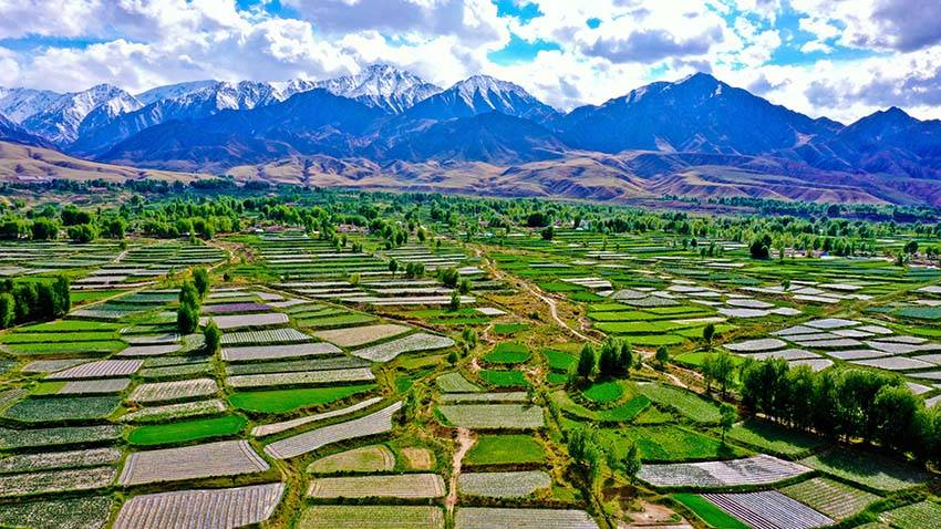 甘肃高台祁连山下田园风光美景如画