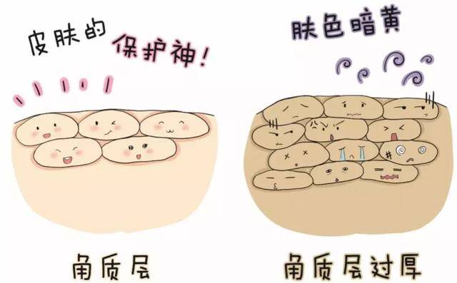 怎么正确刷酸不伤皮肤 b607006dbe764585be7a674aed744b8a.jpeg