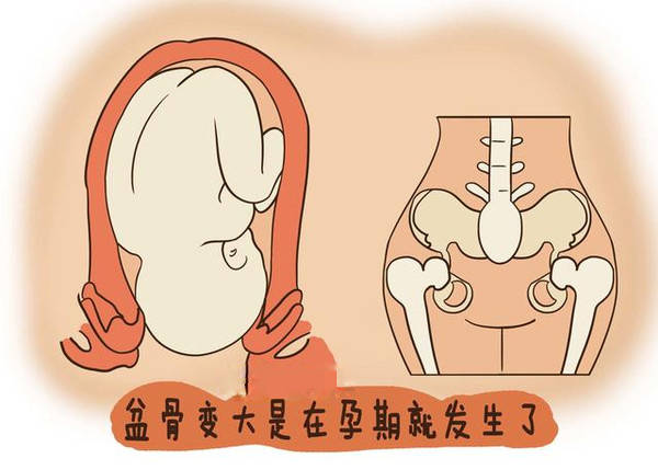 自己怎么测量骨盆 f4bb7e350d224e38a84a5befb29e13ba.jpeg