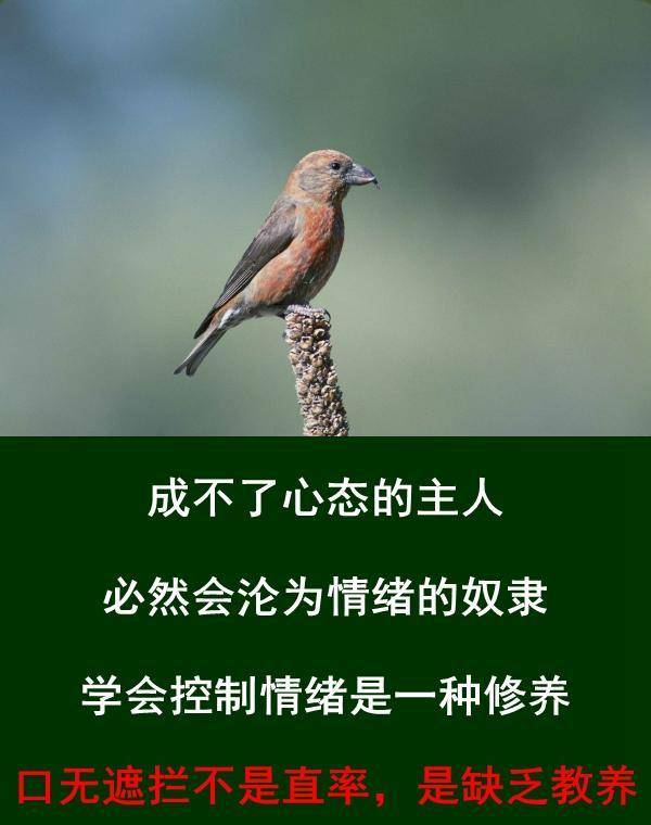 做人要方,做事要圆. 大事清楚,小事糊涂. 小胜靠智,大胜靠德.