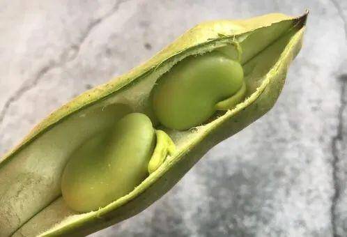 豆荚什么时候开 3a5fa5e6c30549cf8ecad795715ccff6.jpeg