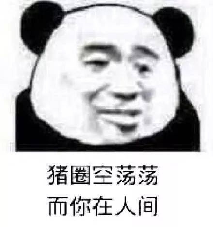 斗图表情包:猪圈空荡荡,而你在人间