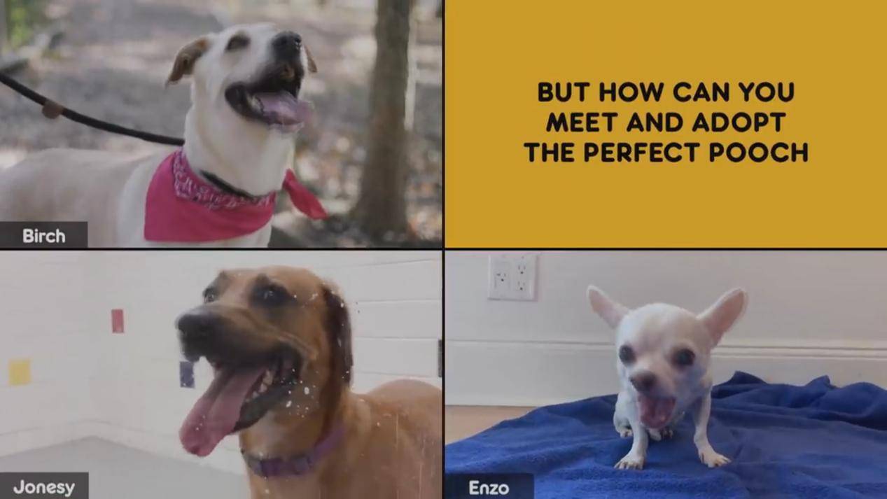 3bb05a0c70184e929e56c4ac298fdd06.jpeg